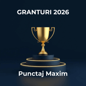 Read more about the article Cum funcționează punctajul: criterii tipice și cum câștigi puncte
